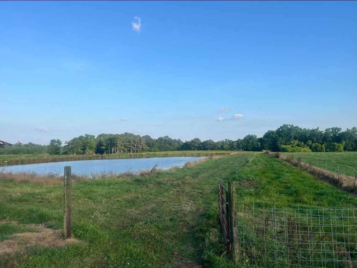 Land Clearing for Collins Constructors in Fyffe, AL