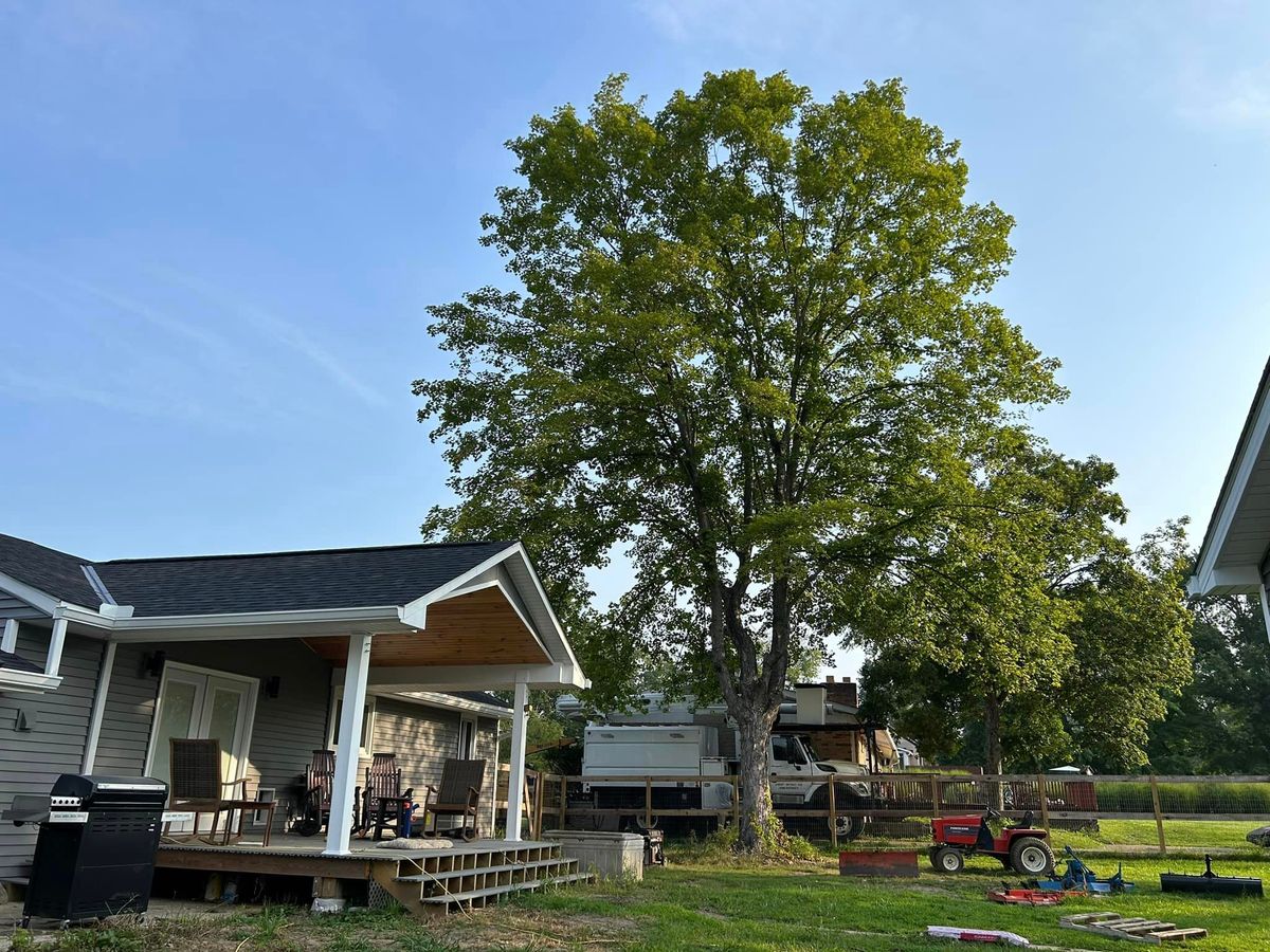 Tree Trimming for Dig-It Tree Company in , 