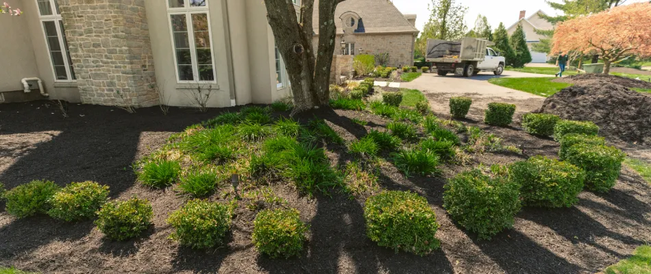 Much/Rock Installation for Cornerstone landscapes in Lecanto, FL
