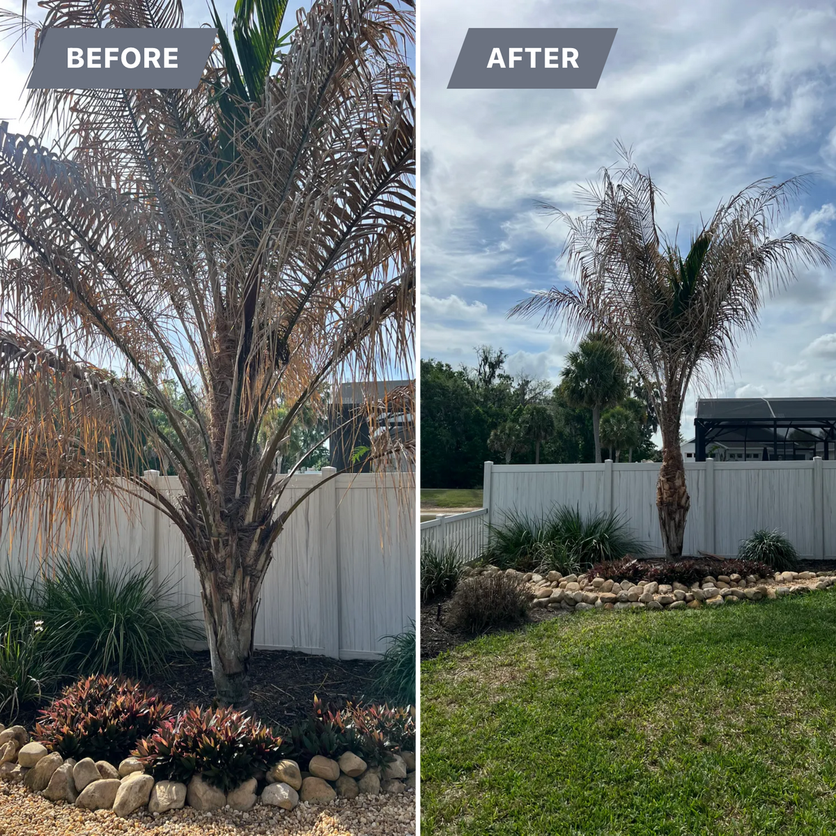 Tree Trimming for R.B. & Company in Belleview, FL