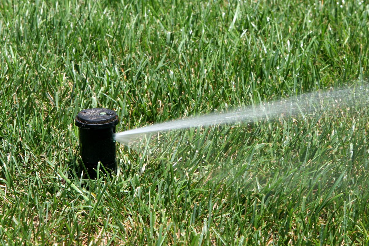 Irrigation for Handy Hands Landscape in Corvallis, OR