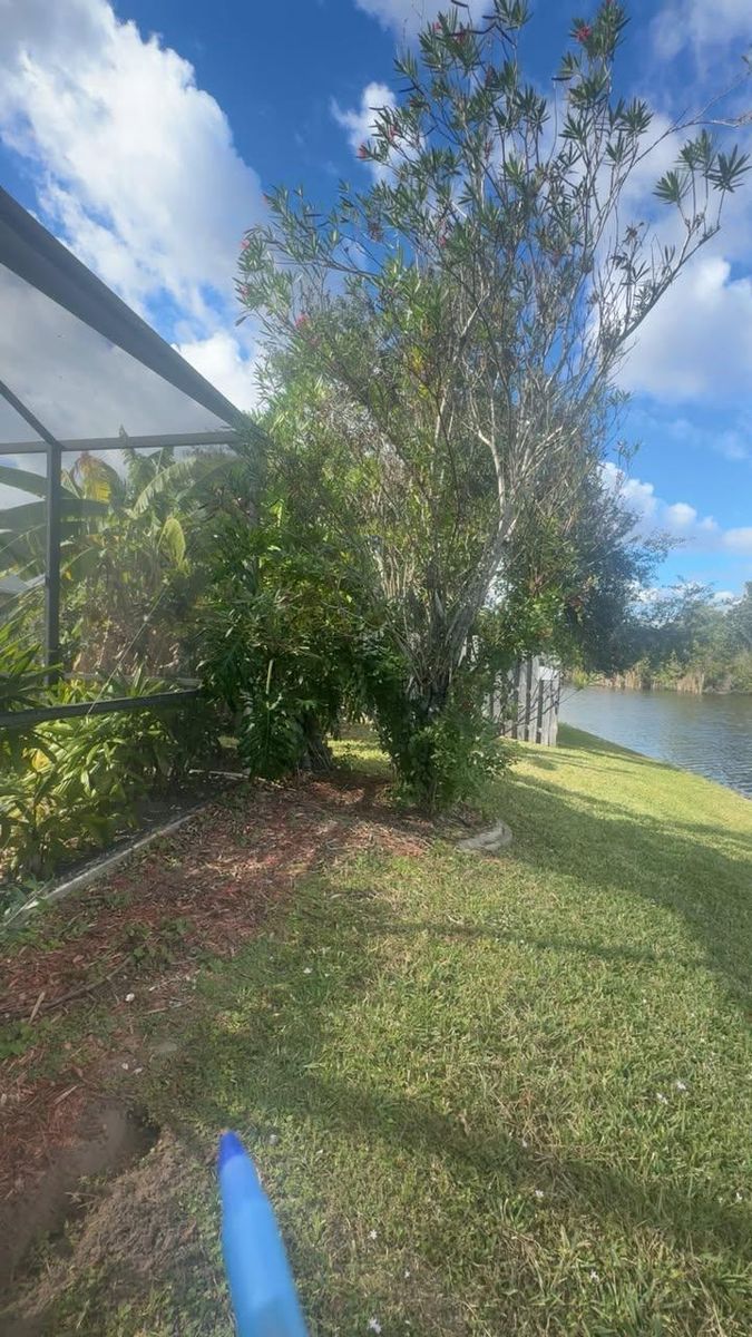 Tree Trimming for Space Coast Property Maintenance and Management LLC in Brevard County, FL