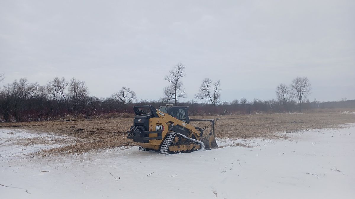 Land Clearing for Willing Trucking & Excavating in Evansville, WI