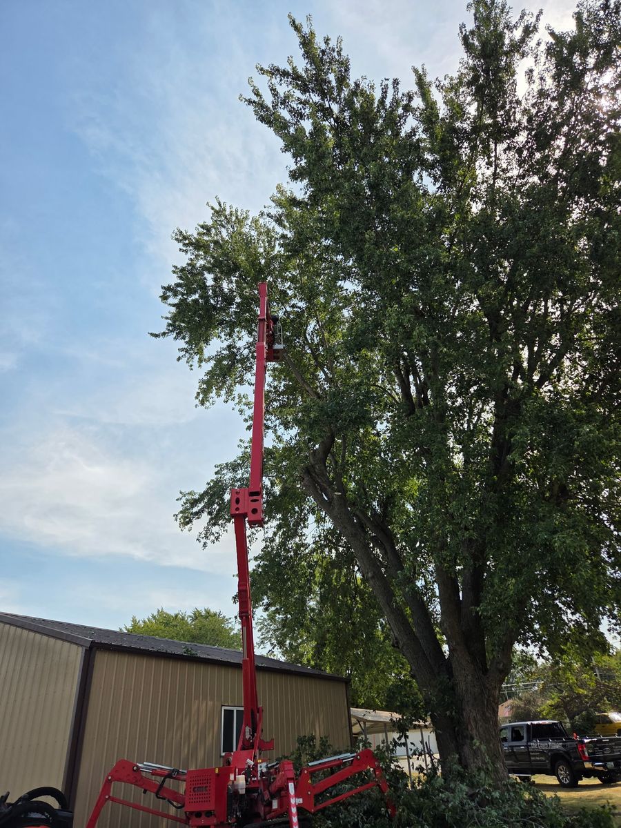 Tree Removal for Lawn Ranger Yard And Tree Service LLC in Ottumwa, IA