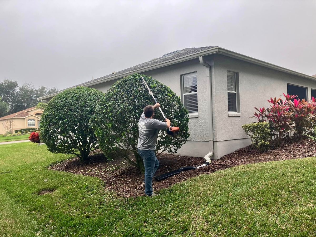 Mulch Installation for Genesis Landscape Services in Spring Hill, FL