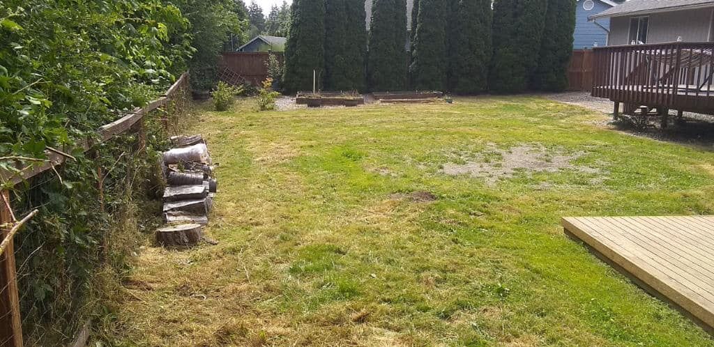 Mowing for Family Landscaping & Irrigation in Auburn, WA