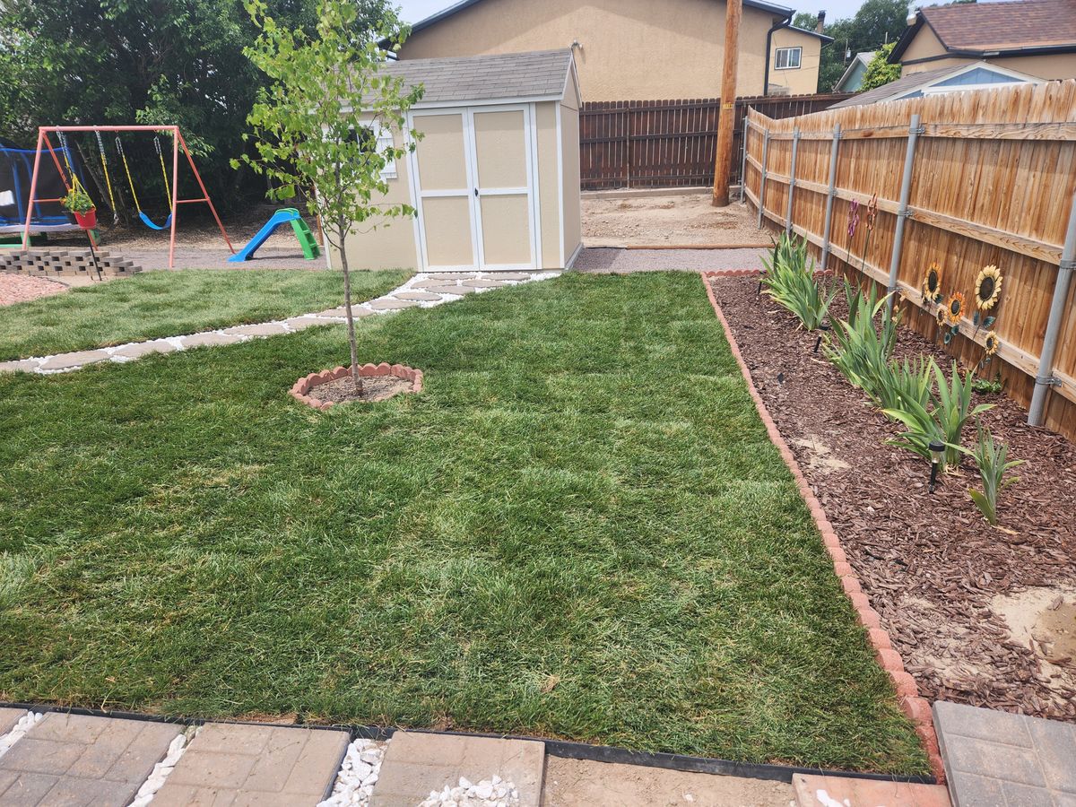 Sod Install for CDM Sprinkler in Pueblo County, CO