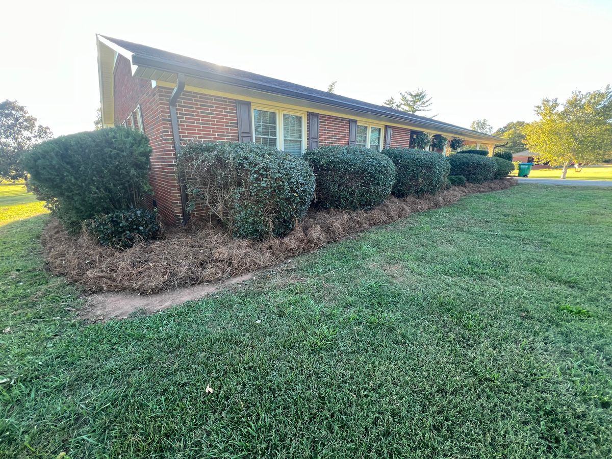 Hedge Trimming for LC Lawn Care & Landscaping in Canon, GA