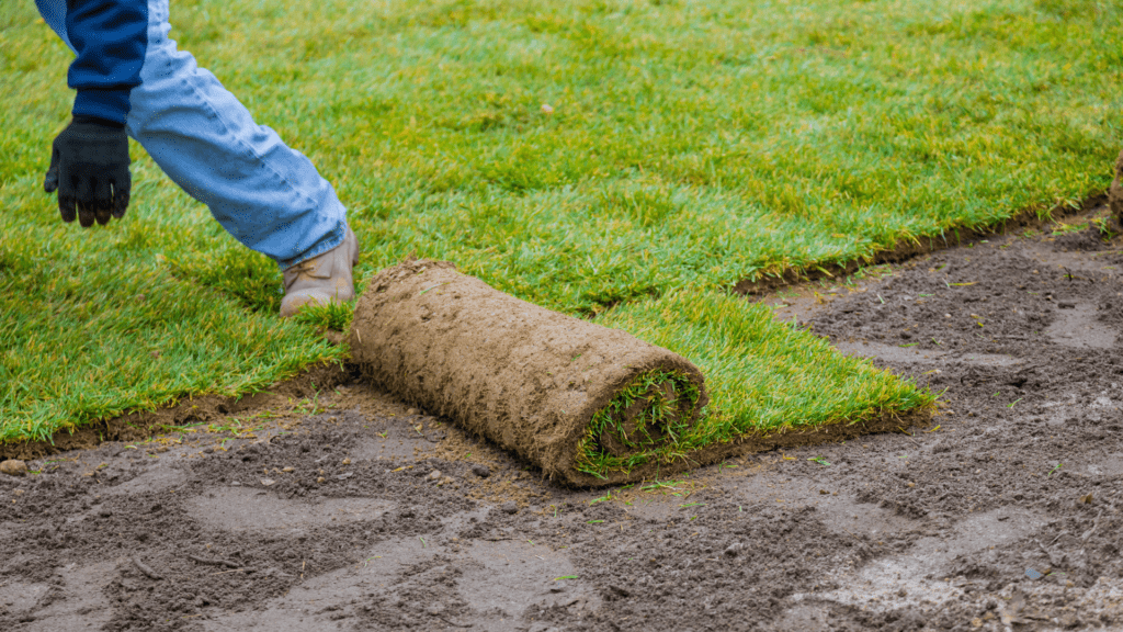Sod Install for One Awesome Dad Lawn Care Service in Keller, TX