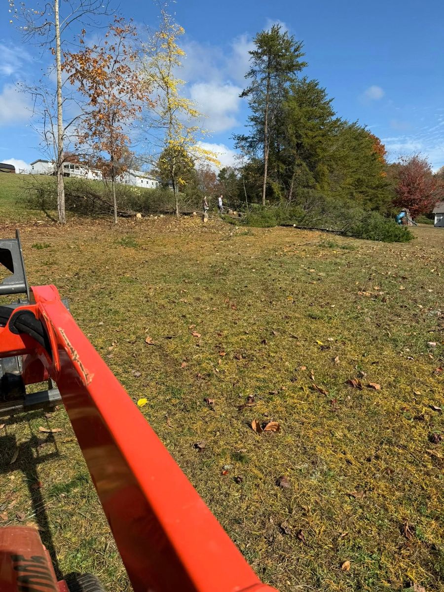 Tree Removal for True Grit Hauling in Athens, TN