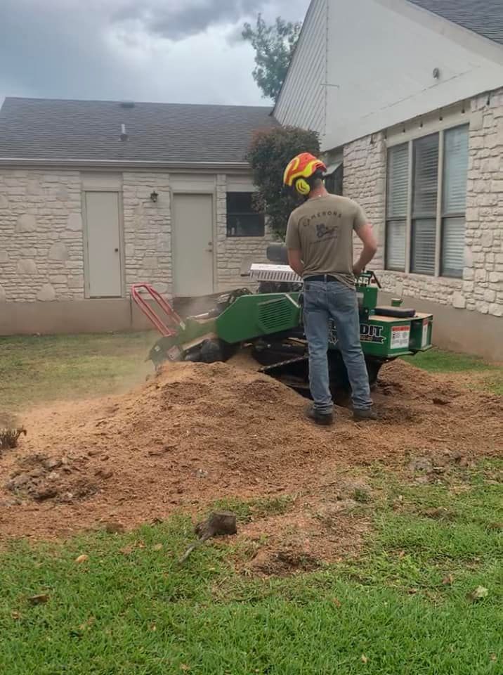 Stump Grinding for Camerons Stump Grinding & Tree Services in Austin, TX