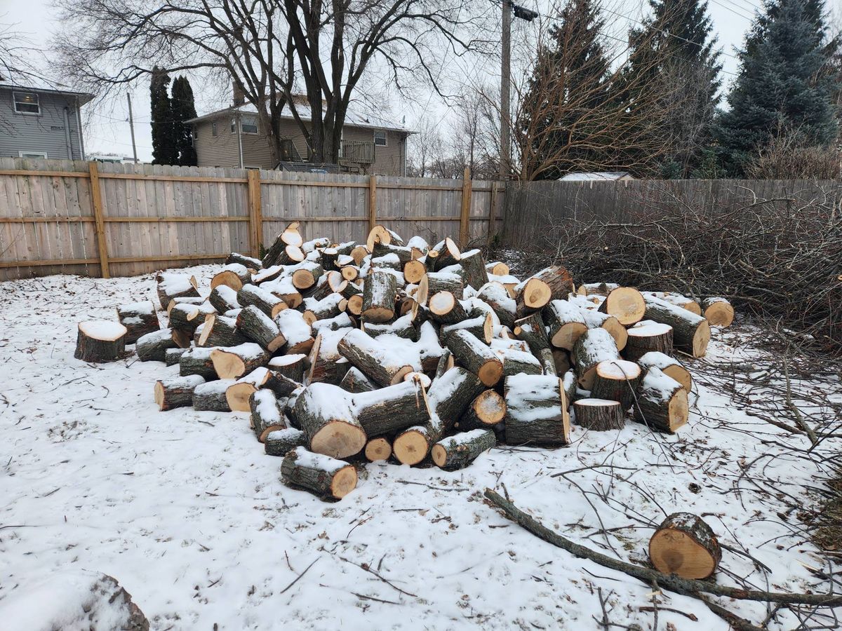 Tree Removal for Canopy Tree Service in Kenosha, WI