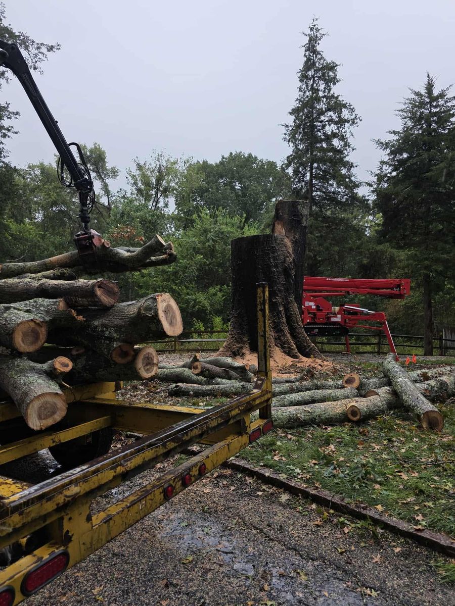 Tree Removal for Smith Tree Experts in Palmyra, VA