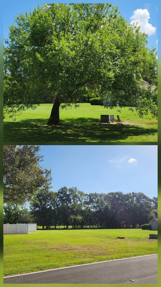 Tree Removal for Ken's Elite Cutters LLC  in Breaux Bridge, LA