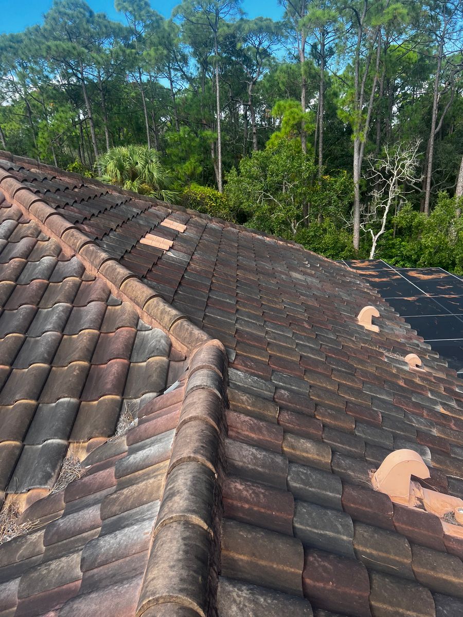 Exterior Cleaning for Barr None Wash Pro in Tampa, FL