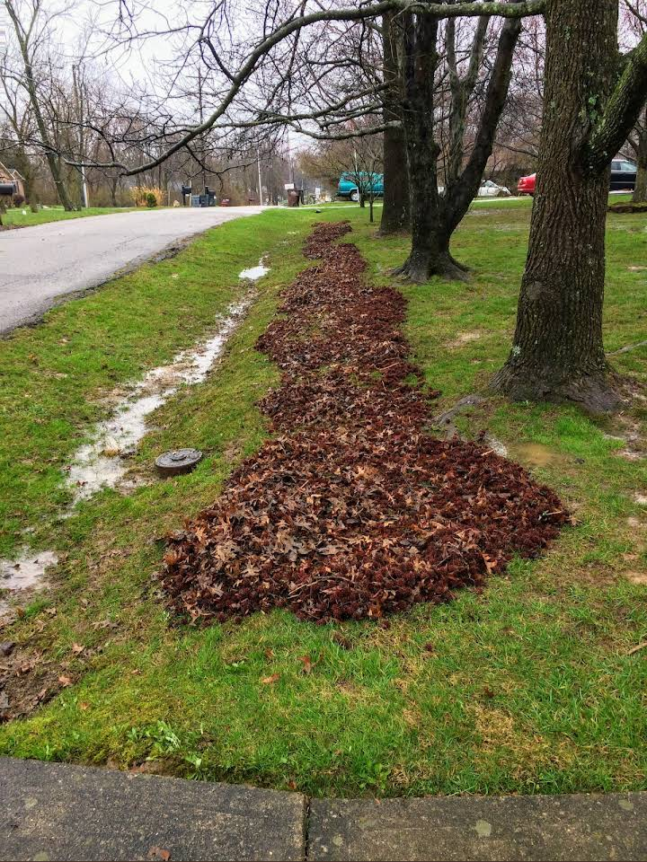 Storm Debris/Tree Limbs Cleanup for Green Shoes Lawn & Landscape in Cincinnati, OH