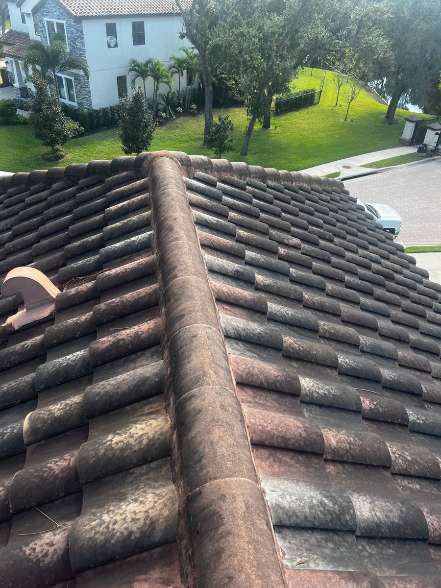 Exterior Cleaning for Barr None Wash Pro in Tampa, FL