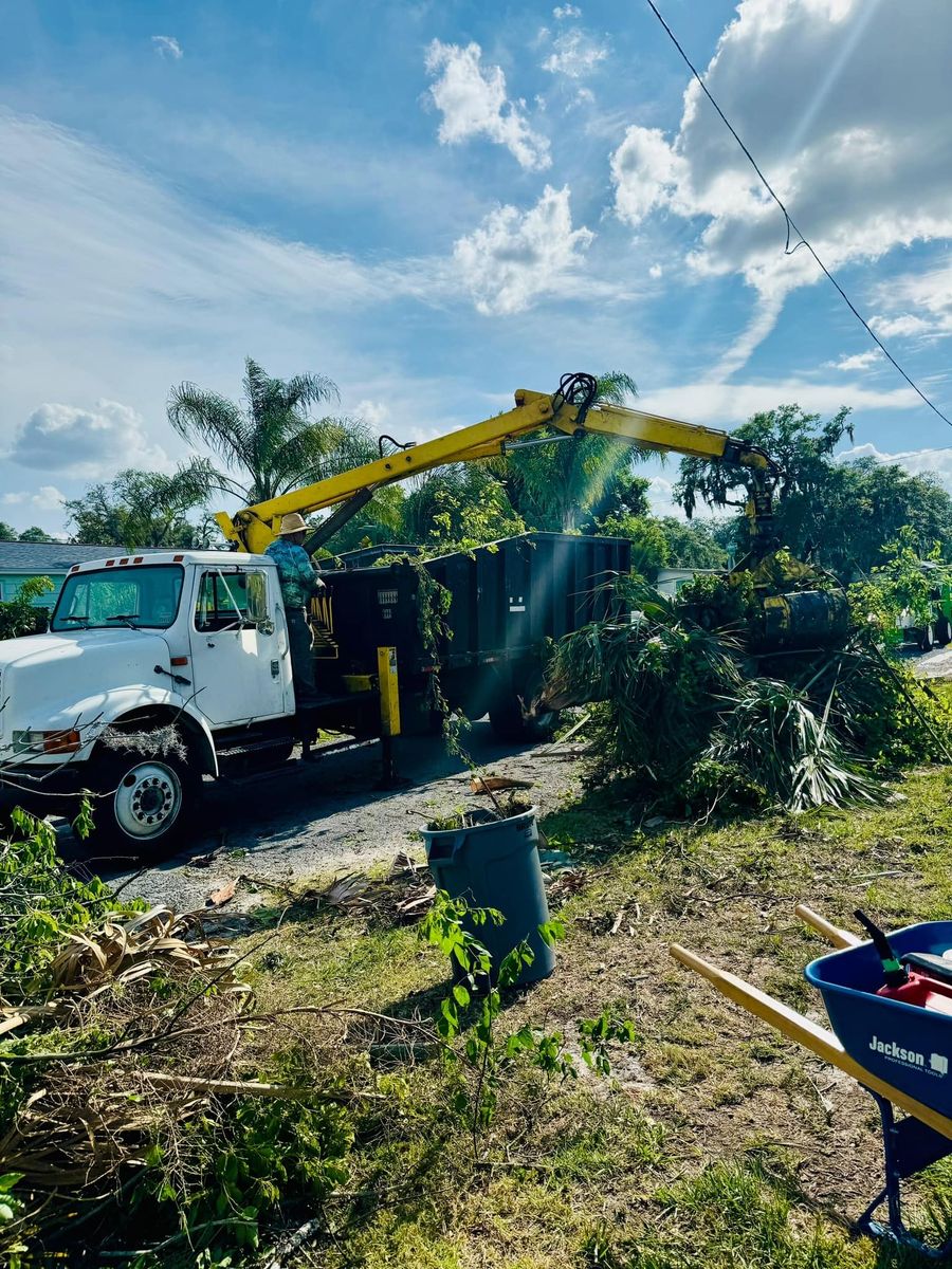 Tree Removal for Elevation Tree Service in Holiday, FL
