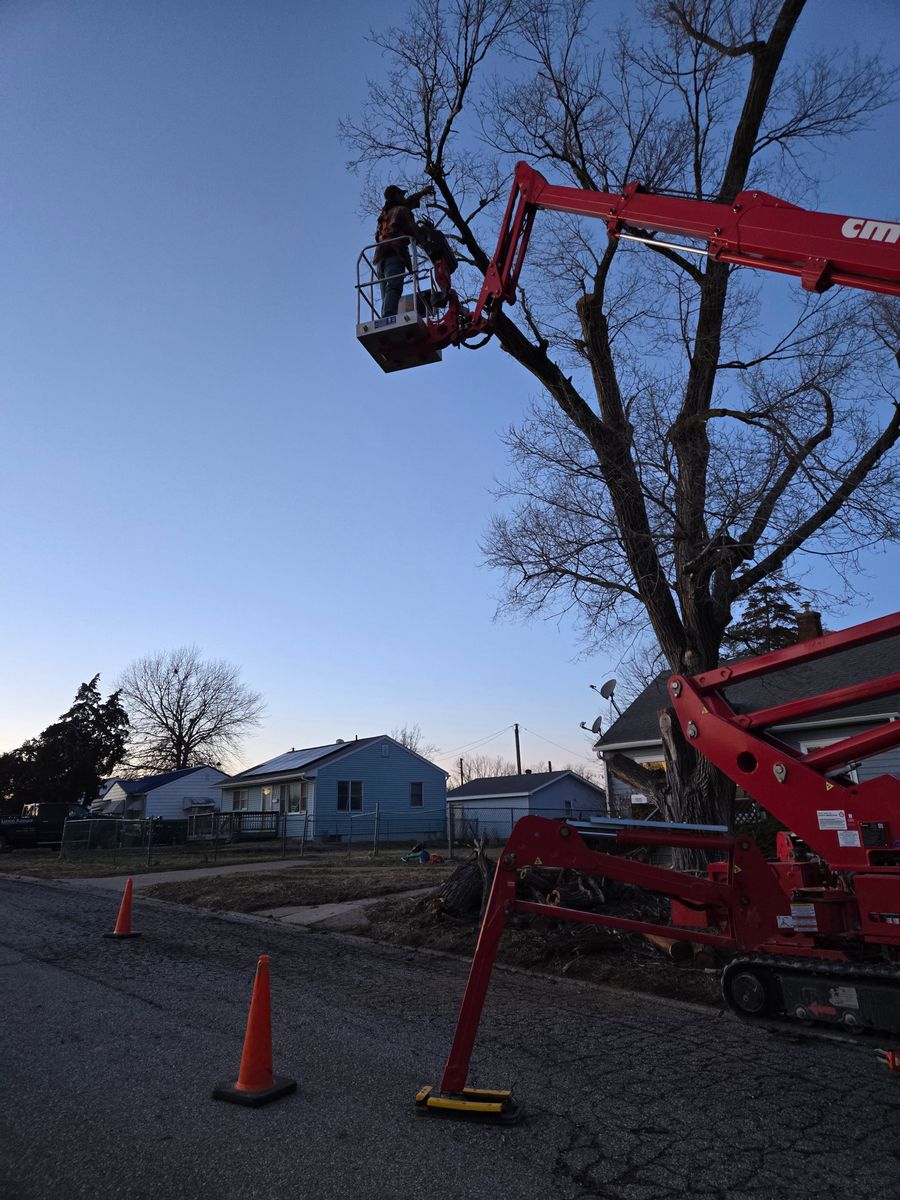Tree Removal for Lawn Ranger Yard And Tree Service LLC in Ottumwa, IA