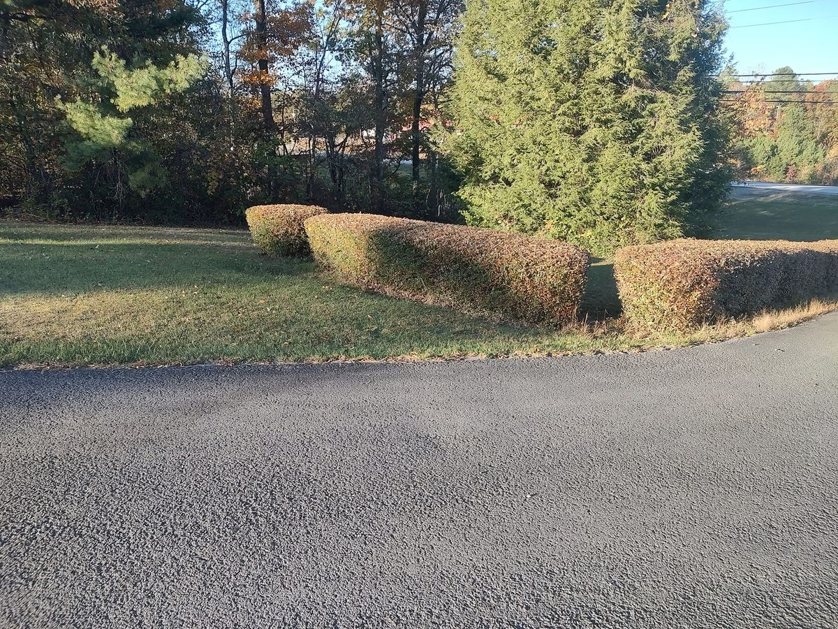 Tree & Shrub Care for Starnes Hardscapes & Property Management LLC in Dunlap, TN