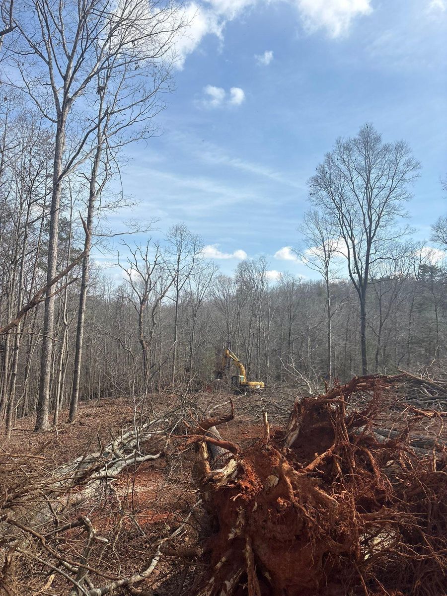 Forestry Mulching for Grading & Clearing Services in Dawsonville, GA