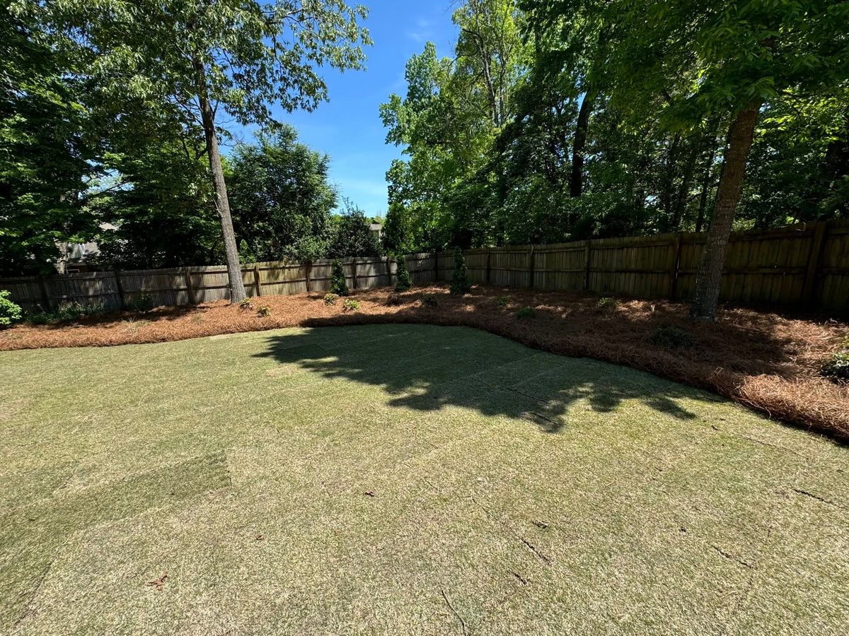 Pinestraw for Trophy Outdoor Solutions in Lexington, SC