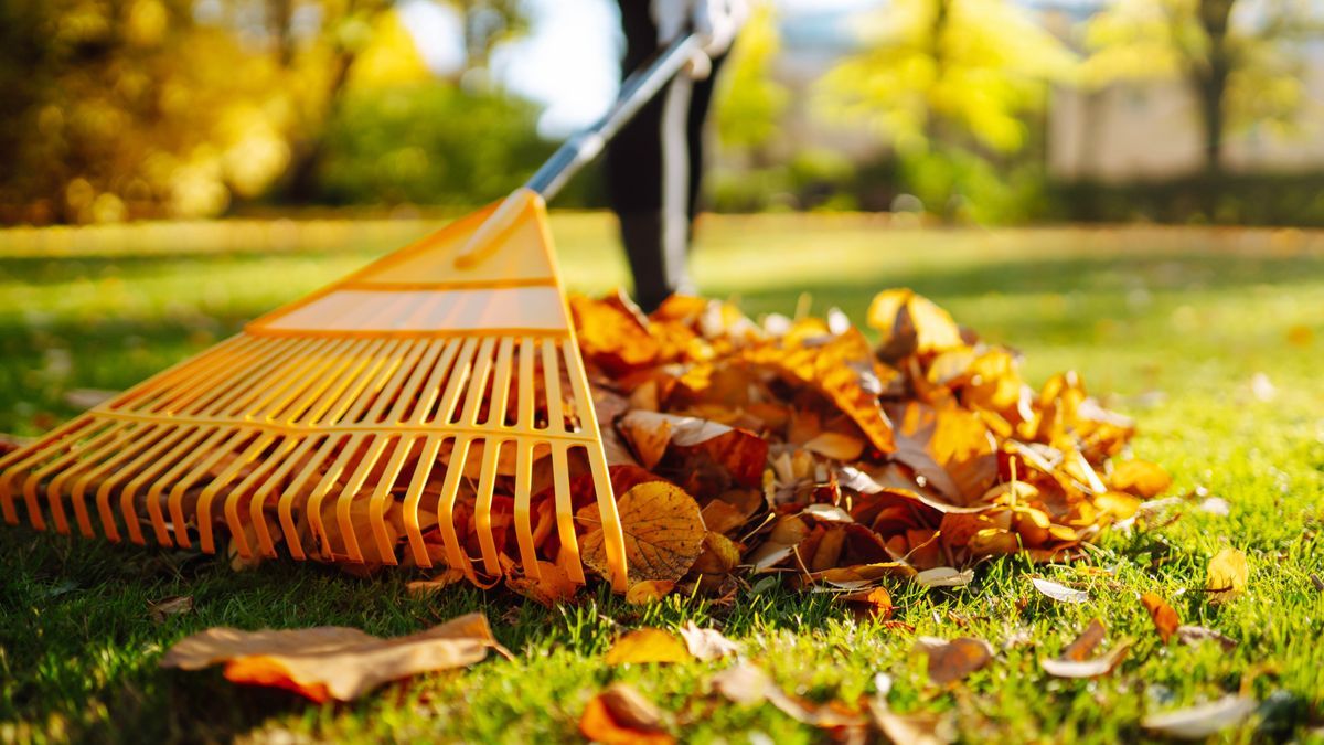 Fall Clean Up for HillyGoat Lawn Care in Provo, UT