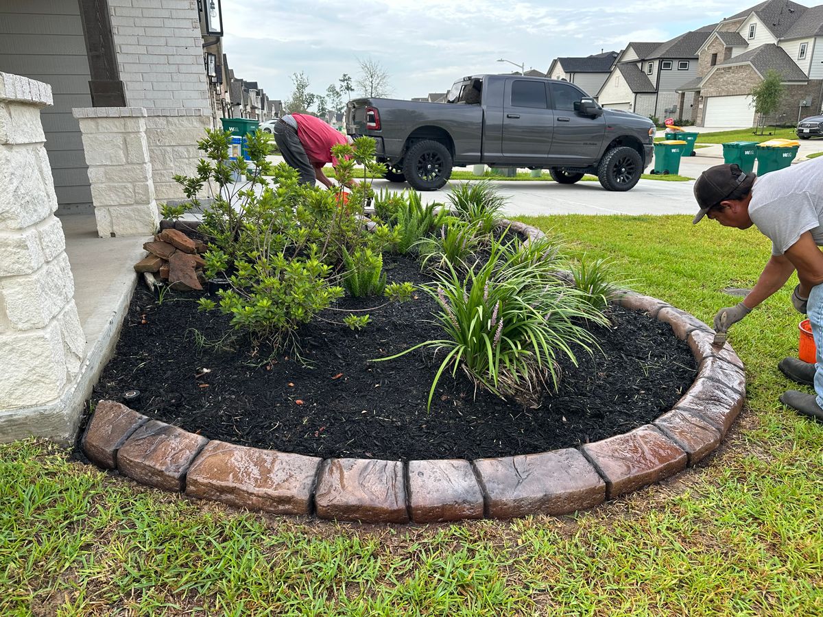 Landscaping for Texas Curb N Borders in Houston, TX