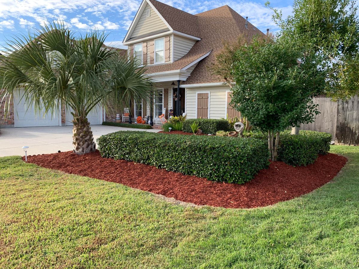 Shrub Trimming for Jay C’s Touch Landscaping & Pressure Washing Services LLC in Marrero, LA