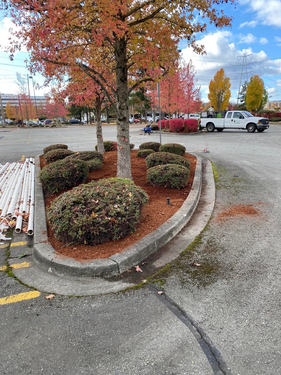 Shrub Trimming for Family Landscaping & Irrigation in Auburn, WA