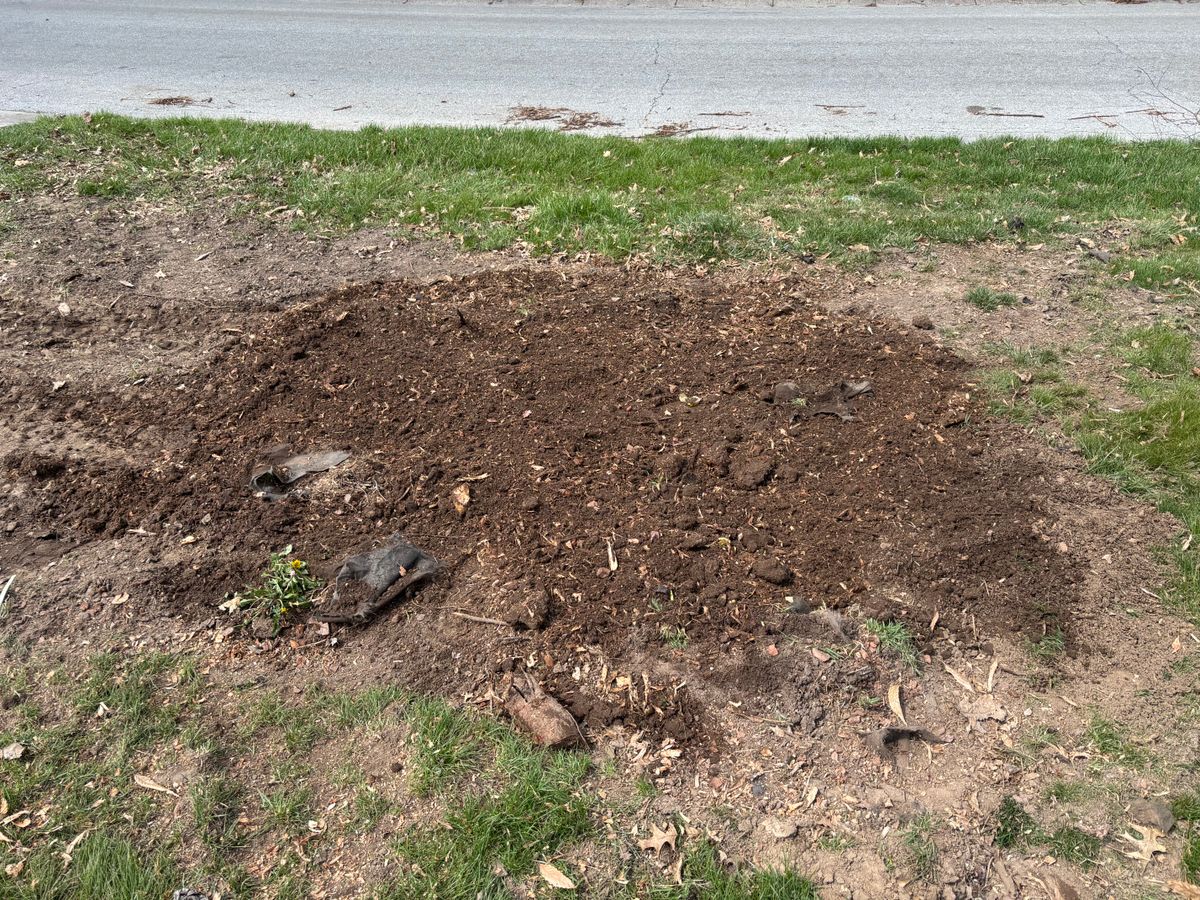 Stump Removal for Conrad's Stump Removal in Columbus, IN