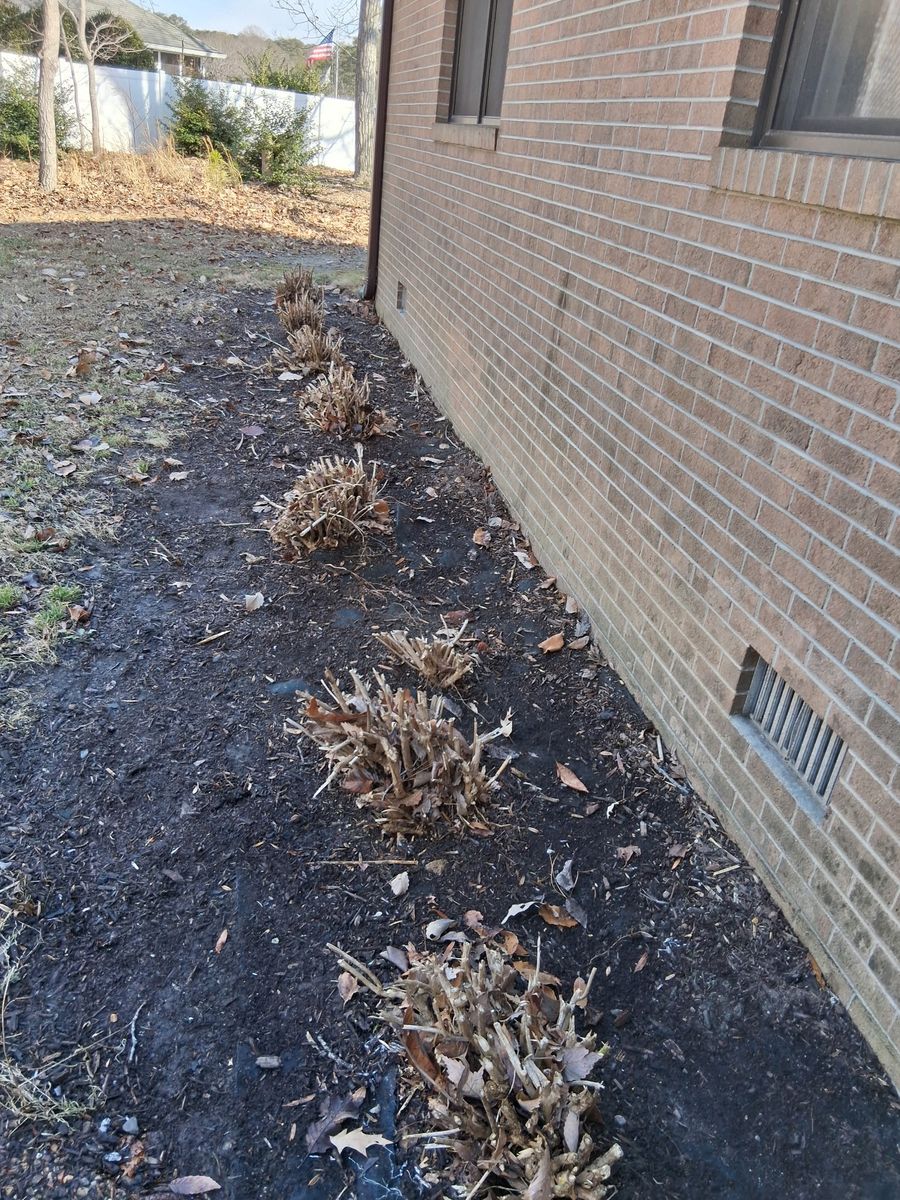 Fall and Spring Clean Up for The Whole 9 Yards Landscape VA in Heathsville, VA