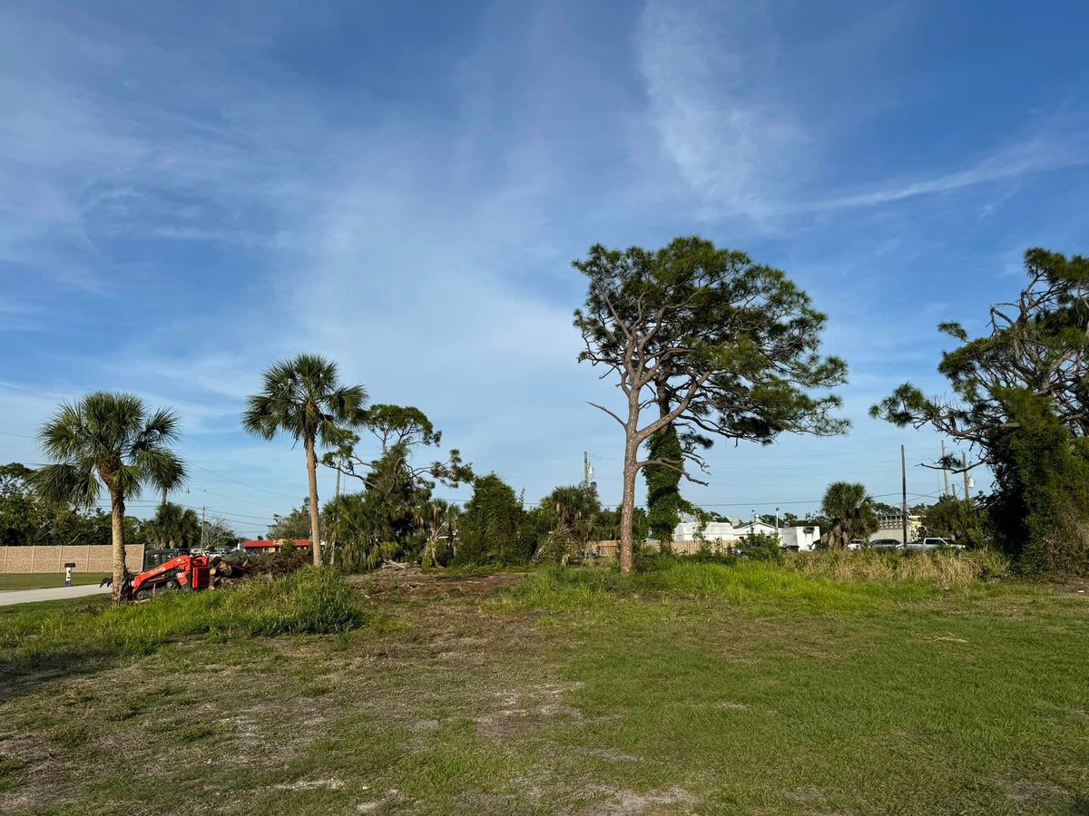 Tree Removal for Lemon Bay Tree Service  in Englewood, FL