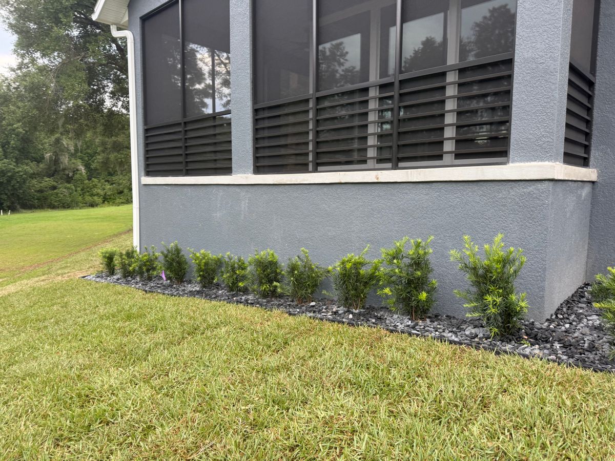 Sod Installation for Amerigrown Tree And Lawn in Apopka, FL