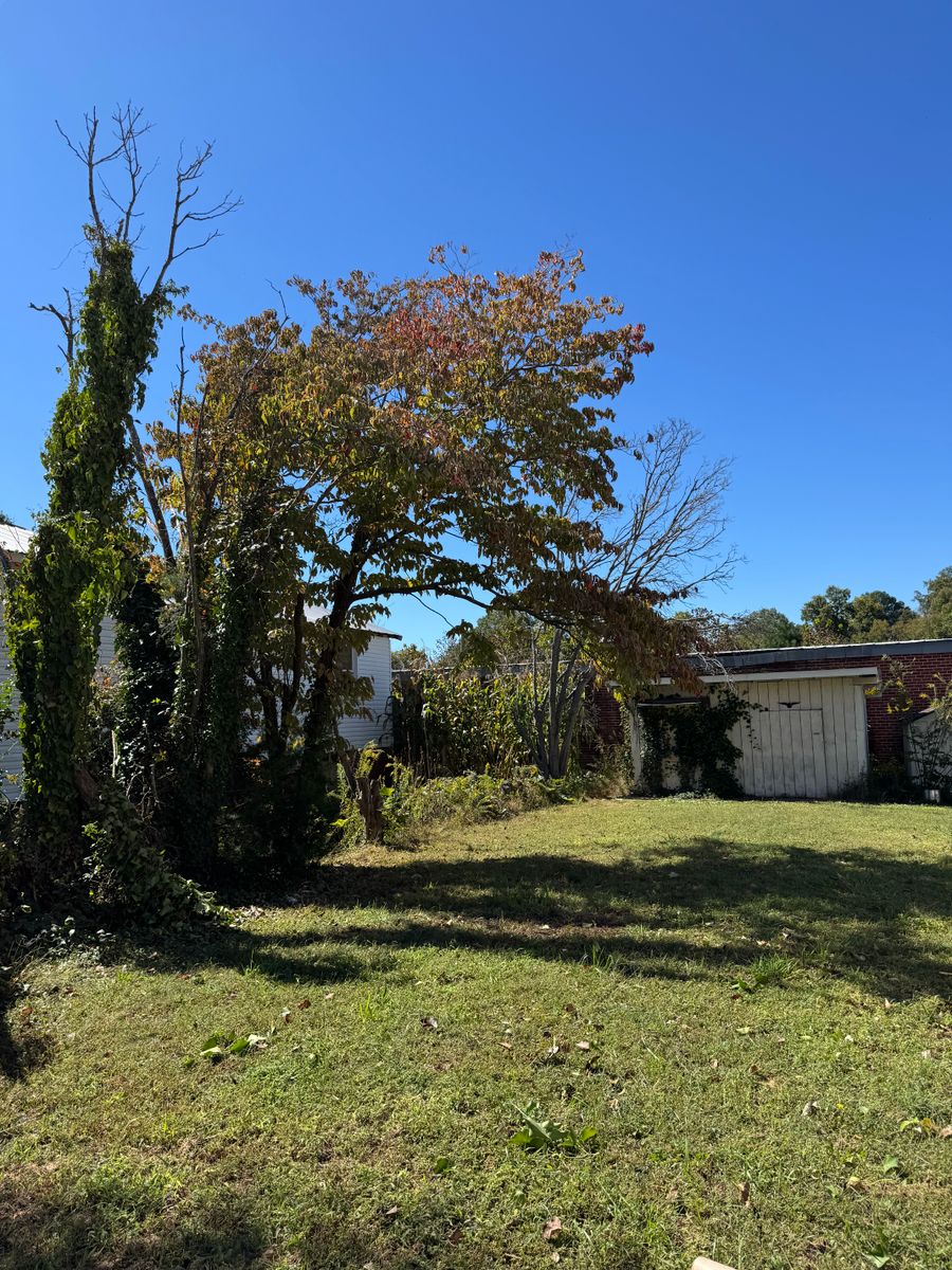 Fall Clean Up for Chavez Landscaping in Pittsboro, NC