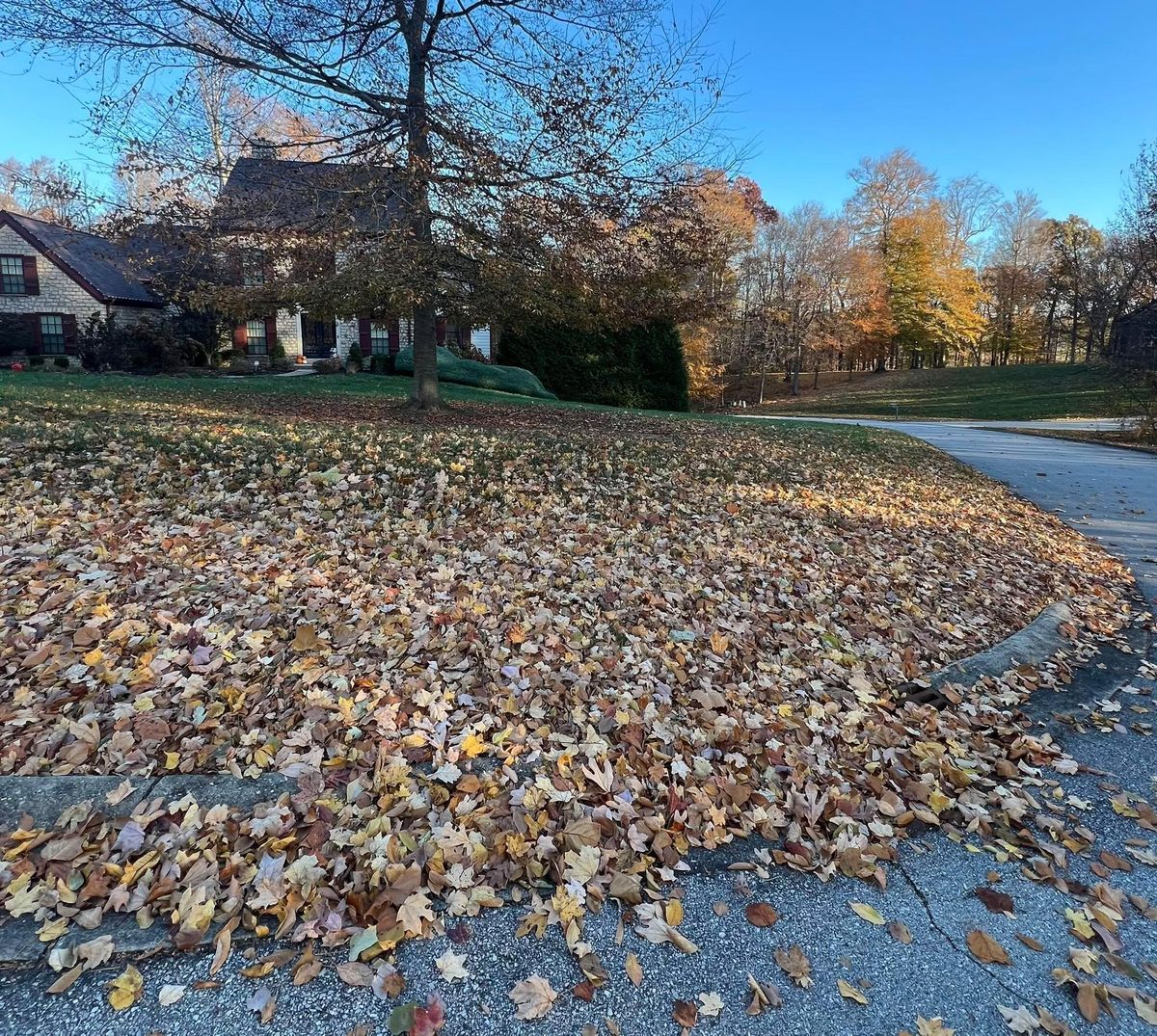 Fall Clean Up for Full Service Landscaping in Louisville, KY