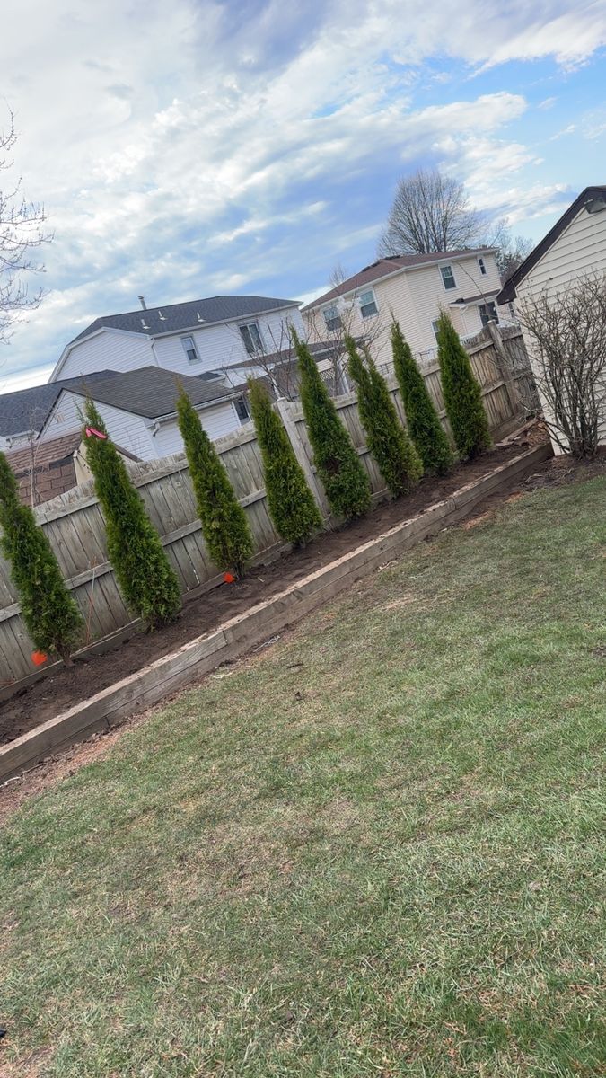 Shrub & Plant Installation for Hauser's Complete Care INC in Lancaster, NY