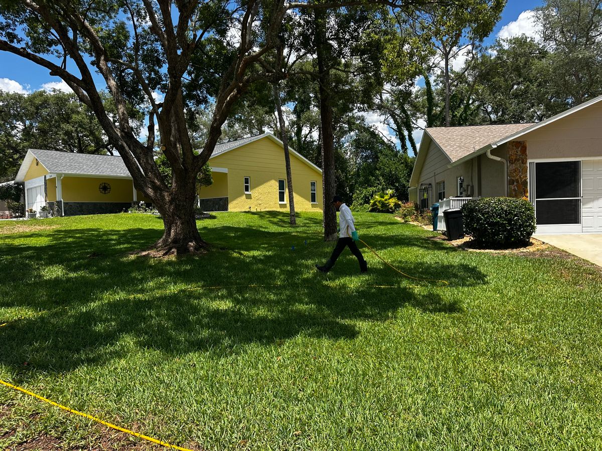 Lawn Spraying for Garrison Pest Control Inc in Hernando County, FL