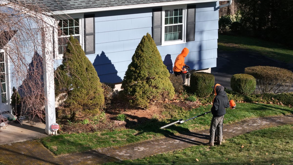 Seasonal Pruning & Shaping for Ace Landscaping in Trumbull, CT