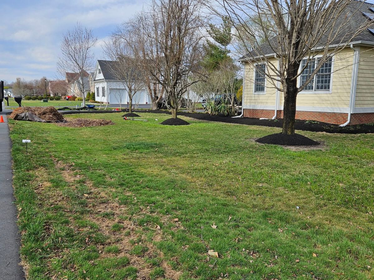 Lawn Maintenance for New Dawn Landscaping LLC in Georgetown, DE