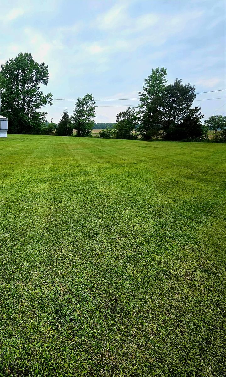 Sod Installation for Natures Accent in Wilson, NC