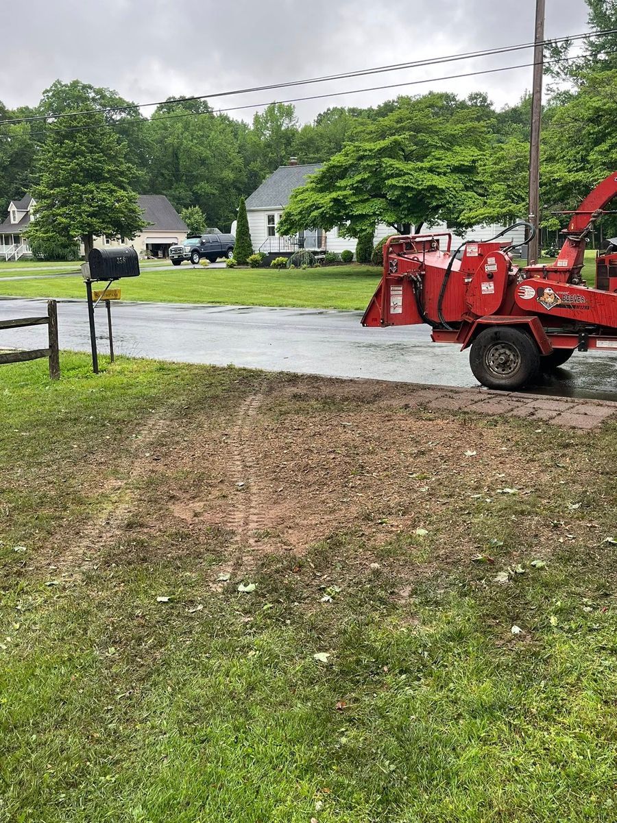 Stump Removal for Etherton’s Tree Service in Quinton, NJ