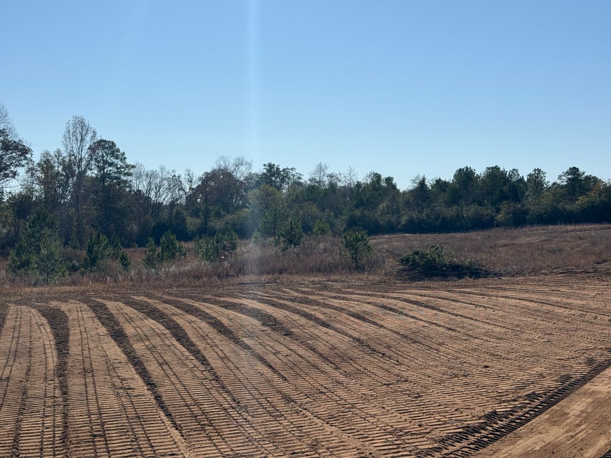 Land Clearing & Demolition for Central Alabama Site Works in Selma, AL