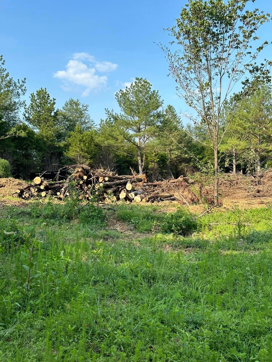 Tree Trimming & Removal for Lanes Land Management in Fayetteville, TN