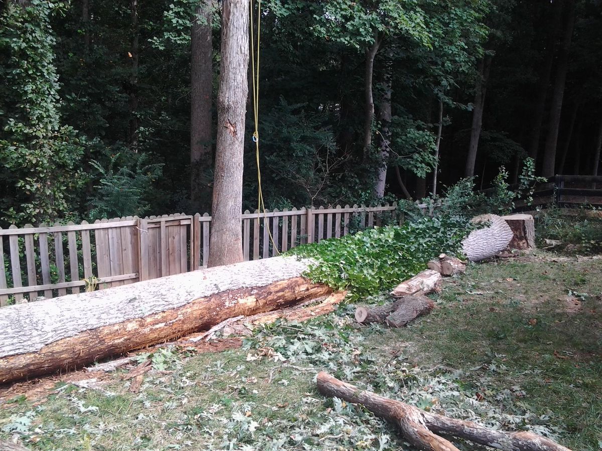 Tree Trimming for Wofford's Grading Clearing and Landscaping in Milton, GA