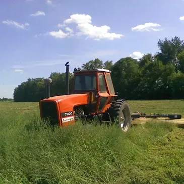 Tractor Mowing and Dirt Work for Gulf-Tex Lawn Care in Baytown, TX
