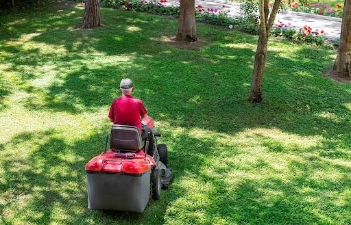 Residential Lawn Care for Superior Lawn Solution in Coats, NC