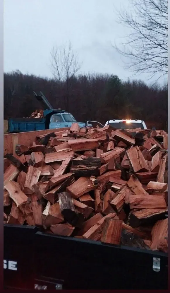 Commercial & Residential Trash Cleanouts for Elite Pavers and Fencing in Springfield, MA