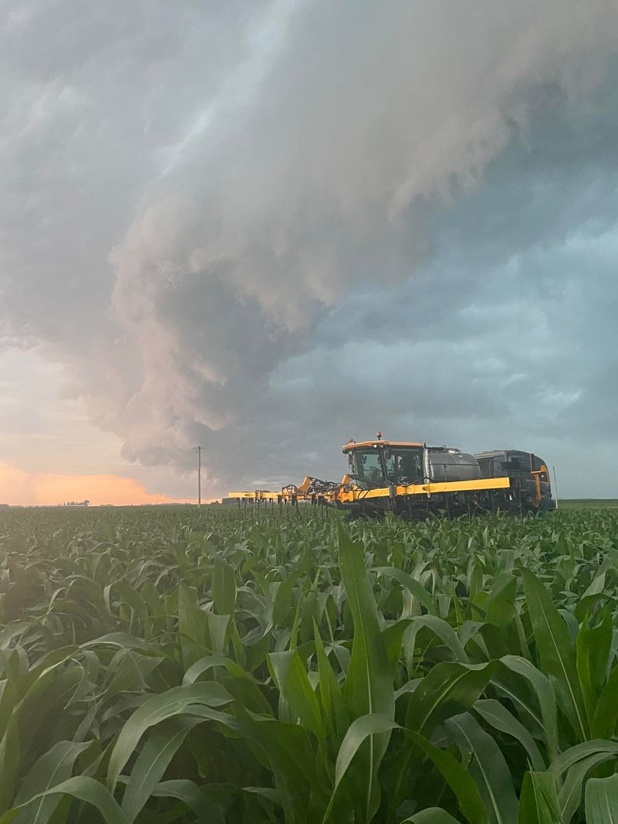 Farming for Legge Farms and Drainage in Garner, IA