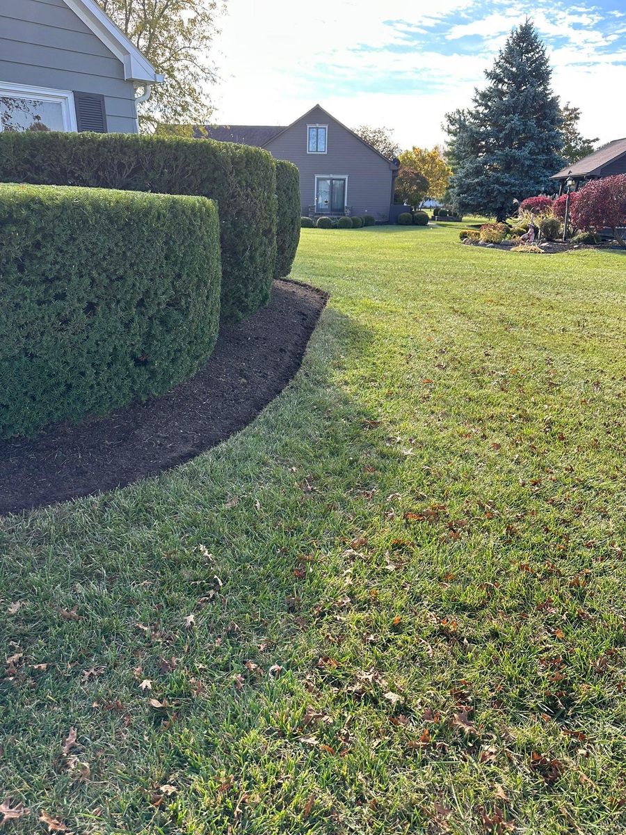 Shrub Trimming for OT Lawn and Landscaping LLC in Carey, OH